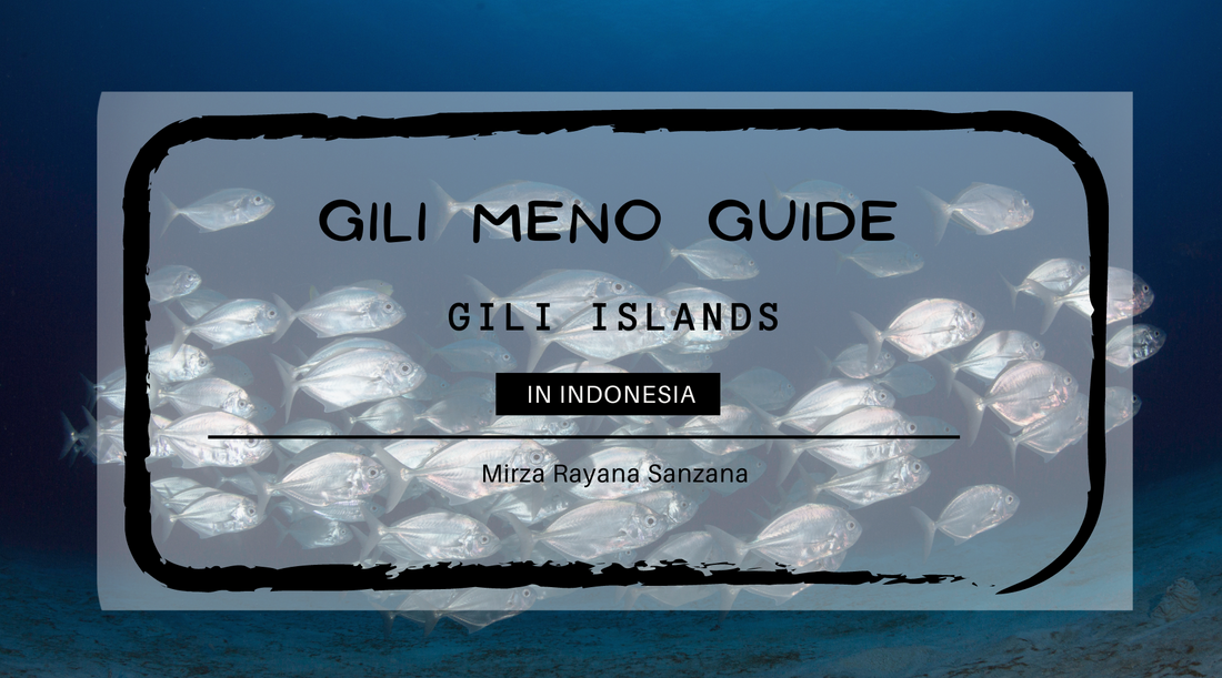 Gili Meno Gili Islands Indonesia