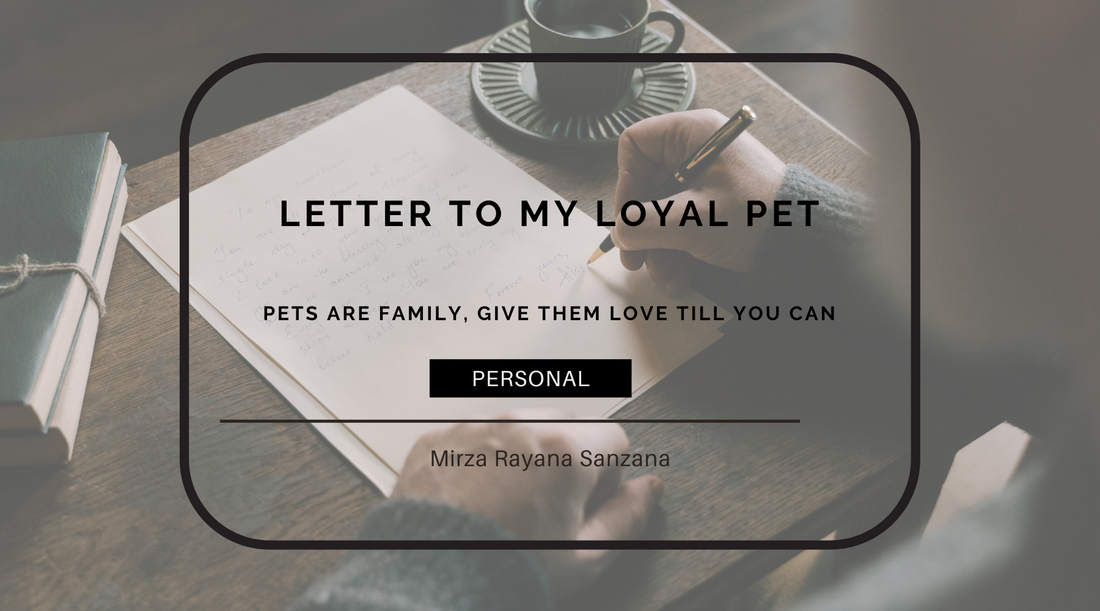 Personal Experience Letter to Pet